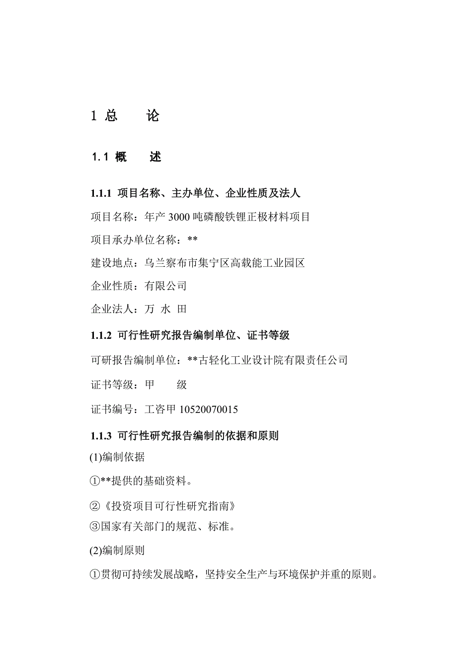 年产3000吨磷酸铁锂正极材料项目可行性研究报告.doc_第2页