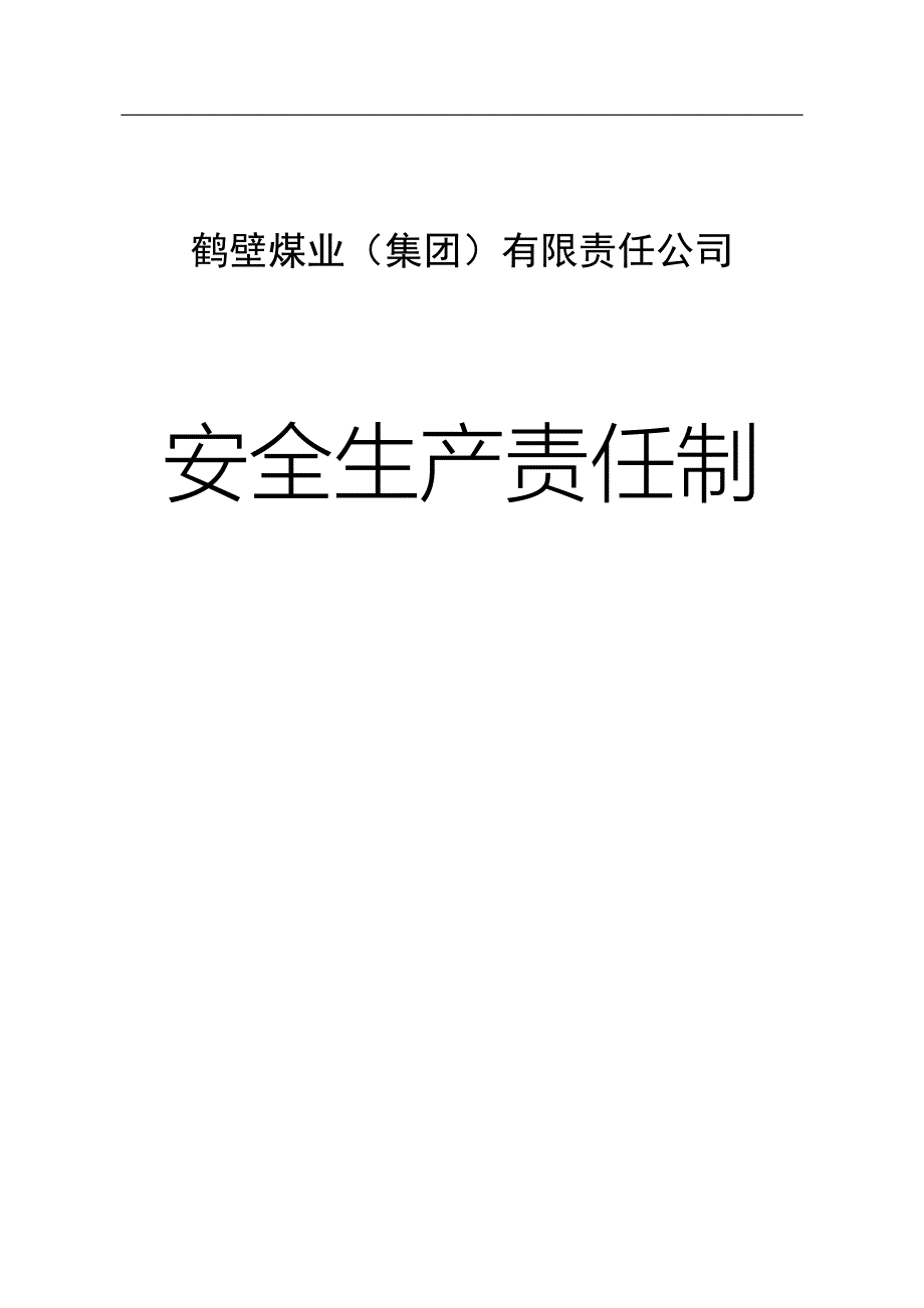煤业集团有限责任公司安全生产责任制汇编.doc_第1页