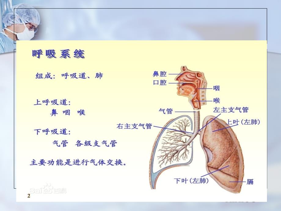 最新气道清除系统.ppt_第3页