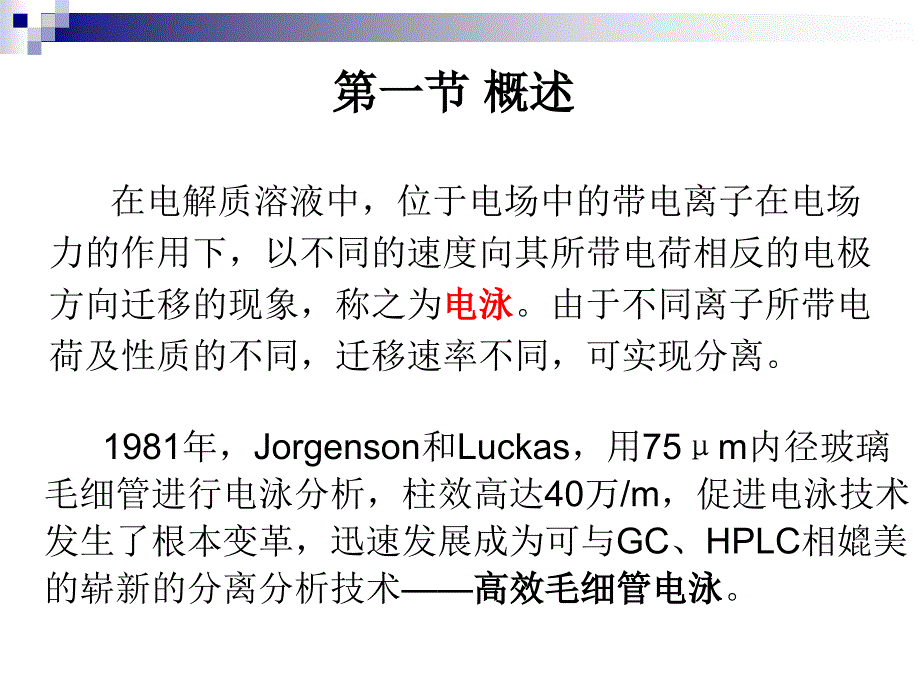毛细管电泳PPT课件.ppt_第2页