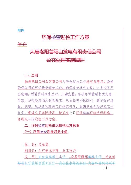 环保检查迎检工作方案.doc