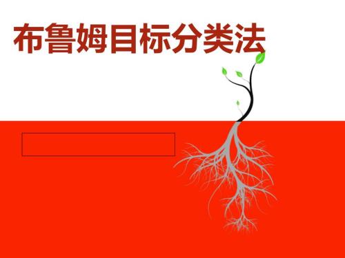 布鲁姆目标分类PPT课件.ppt