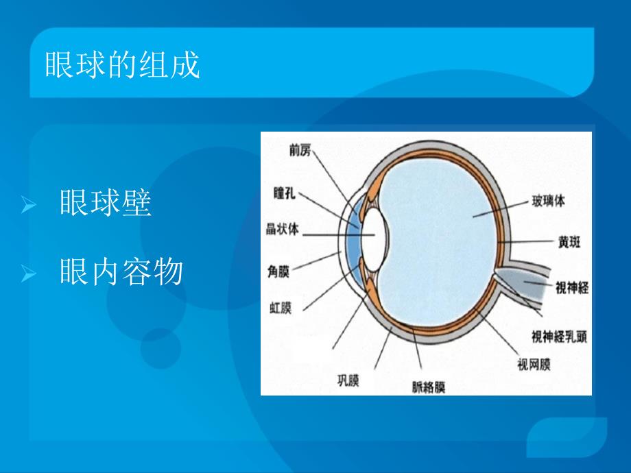 小讲课眼科基础.ppt_第3页
