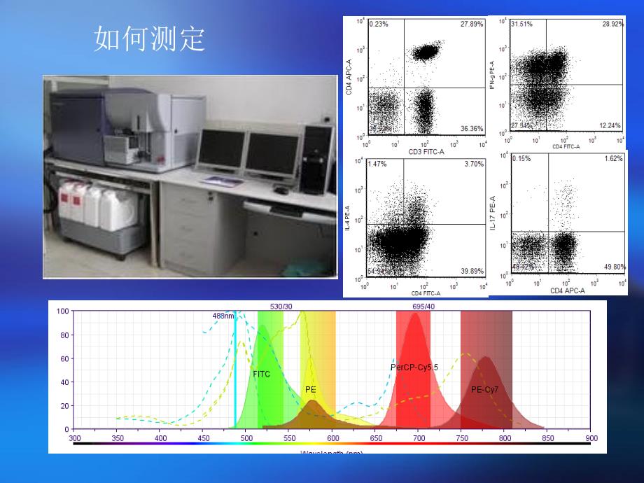 淋巴细胞亚群PPT课件.ppt_第2页