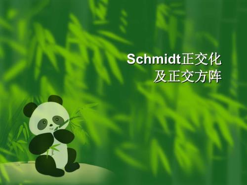 正交化及正交矩阵.ppt