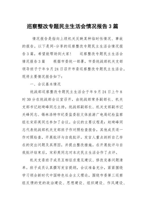 巡察整改专题民主生活会情况报告3篇.docx