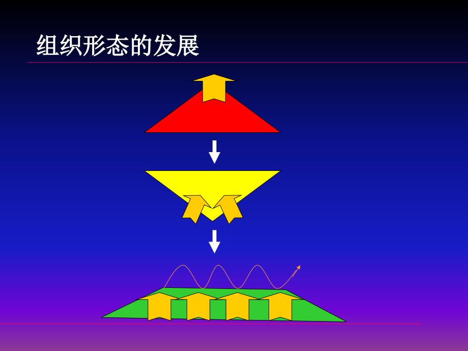 广告公司的人力资源管理.ppt_第2页