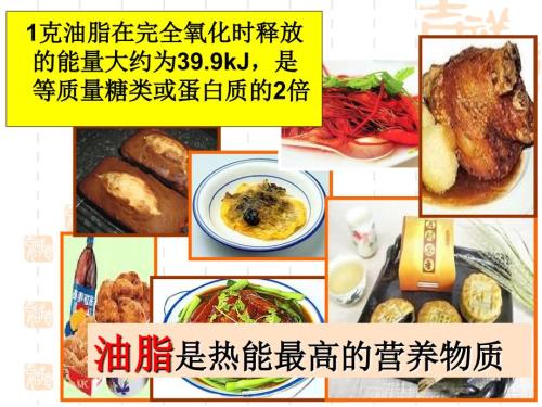 油脂的性质PPT课件.ppt