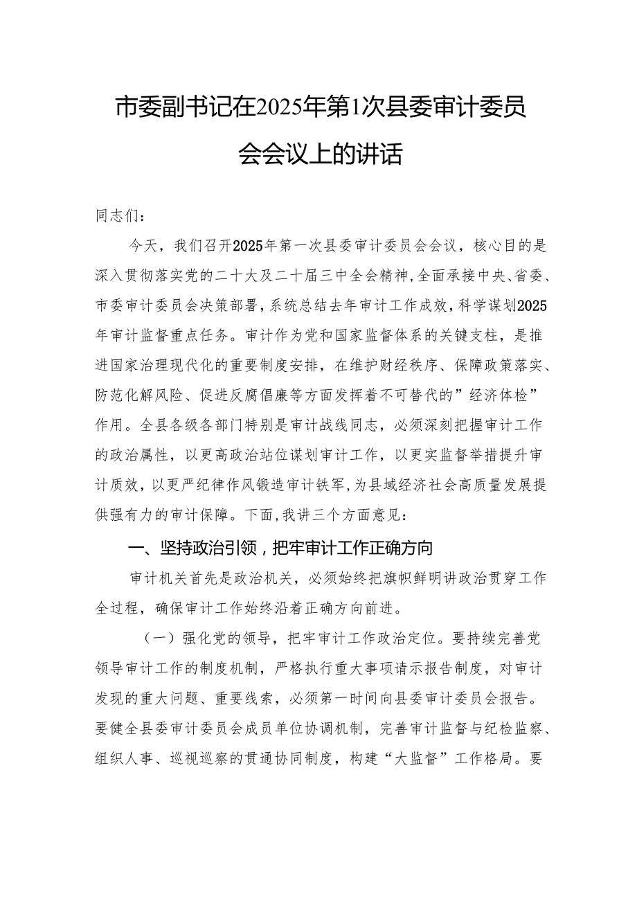 市委副书记在2025年第1次县委审计委员会会议上的讲话(1).docx_第1页