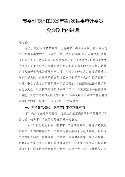 市委副书记在2025年第1次县委审计委员会会议上的讲话(1).docx