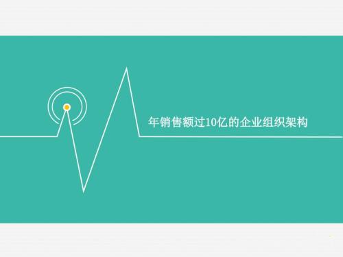 年收入过10亿的企业的组织架构.ppt