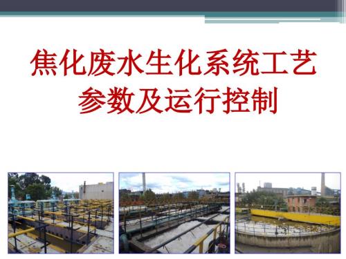 焦化废水处理工艺参数的控制.ppt
