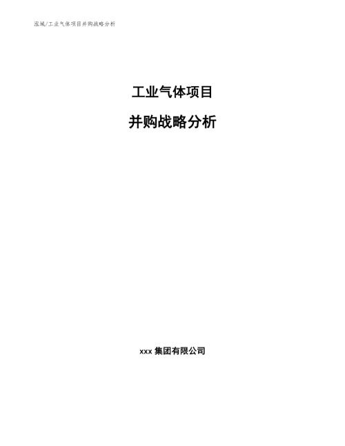 工业气体项目并购战略分析范文.docx
