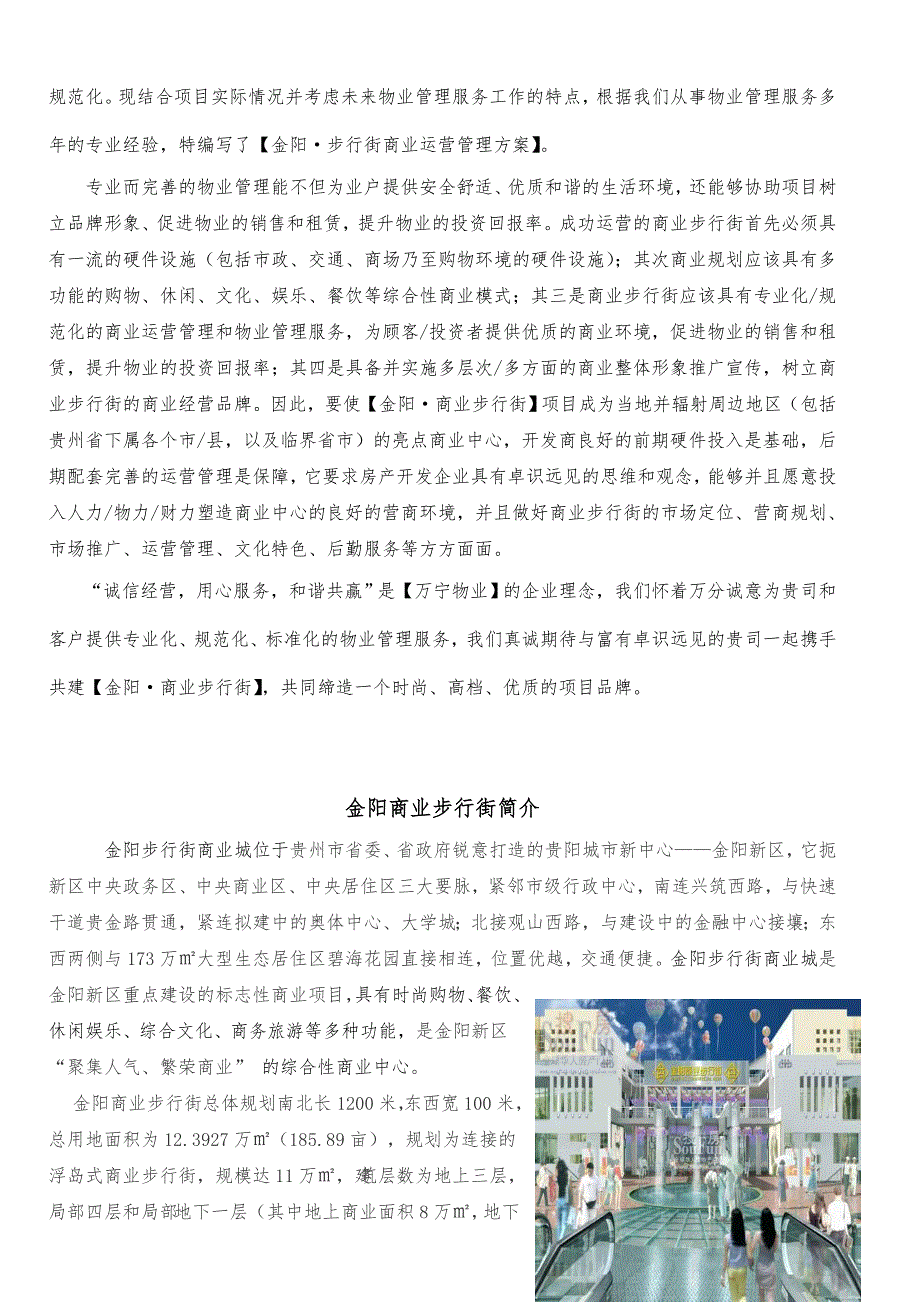 步行街管理运营方案.doc_第2页