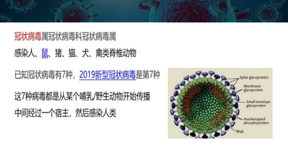 疫情防控防疫知识专题培训课件.pptx_第3页