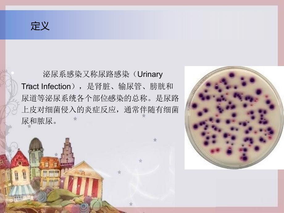 尿脓毒血症.ppt_第3页