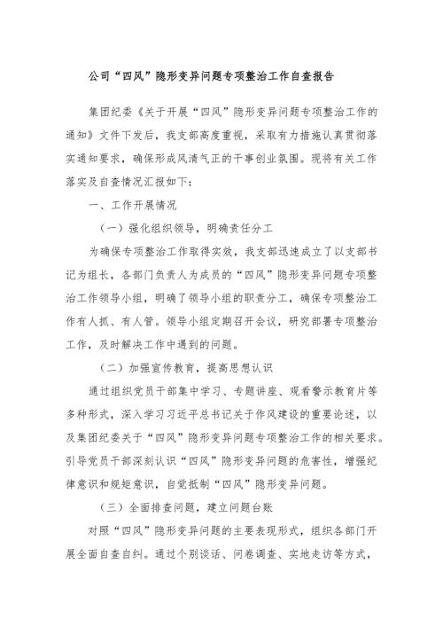 公司“四风”隐形变异问题专项整治工作自查报告.docx