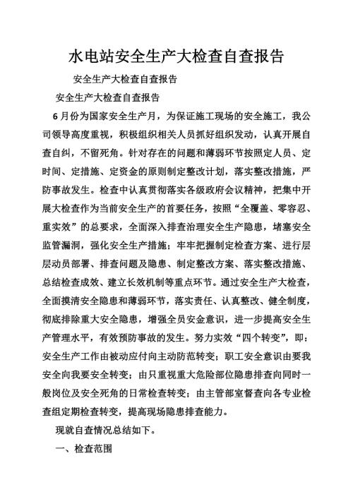 水电站安全生产大检查自查报告.doc