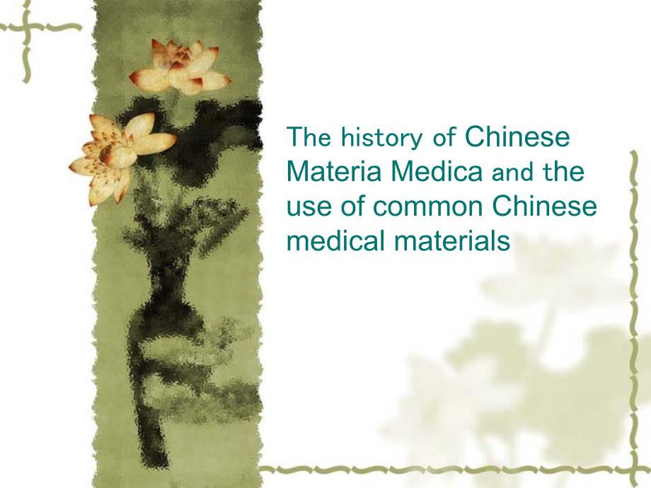 常用中药介绍英文.ppt_第1页