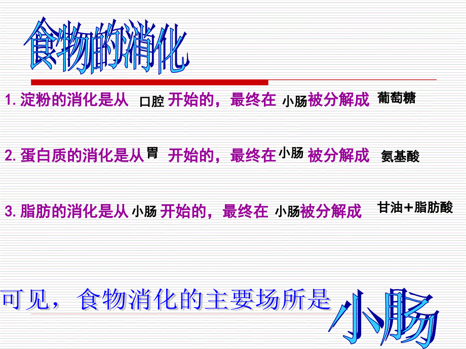 消化系统的组成PPT课件.ppt_第3页