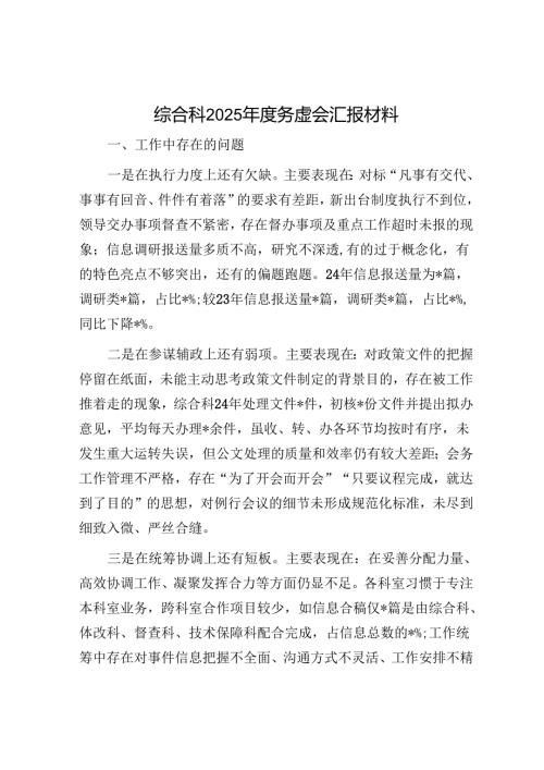 综合科2025务虚会汇报材料.docx