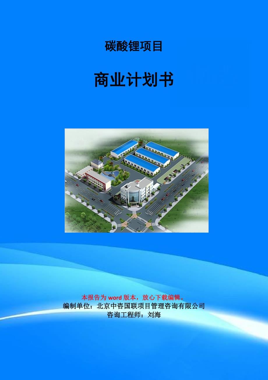 碳酸锂项目商业计划书写作模板.doc_第1页