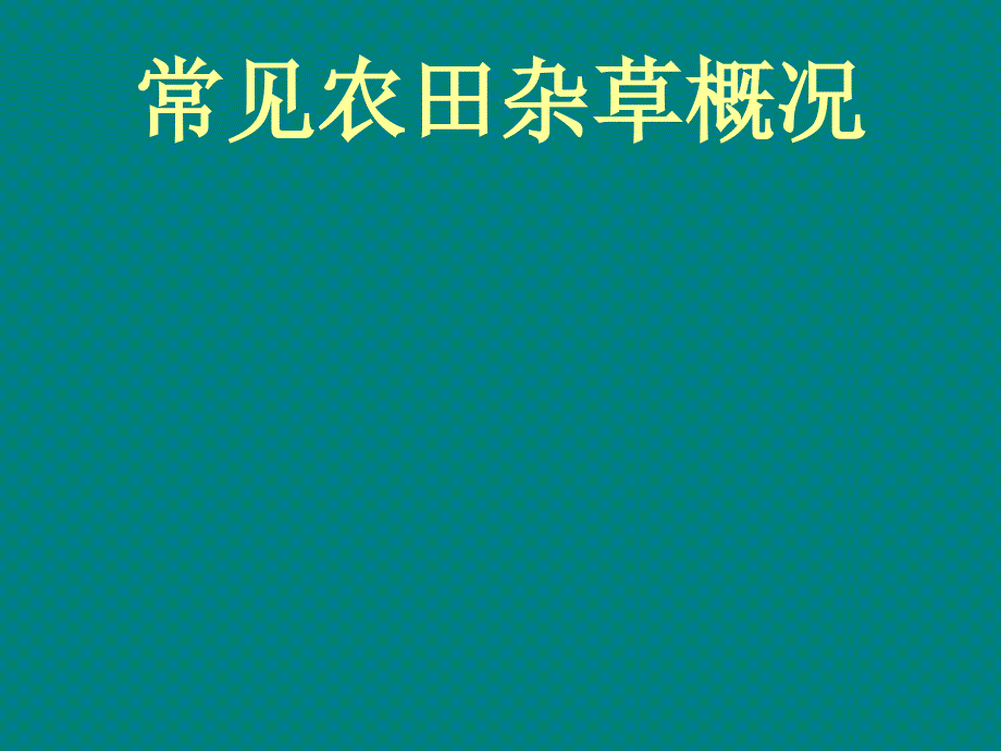 常见杂草汇总.ppt_第2页