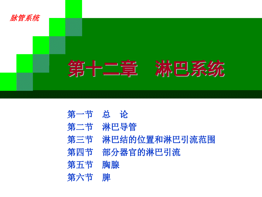 淋巴ppt课件.ppt_第2页