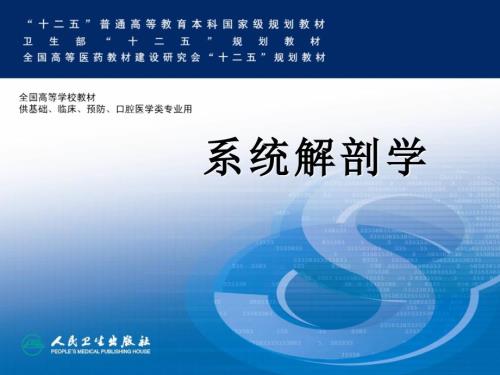 淋巴ppt课件.ppt