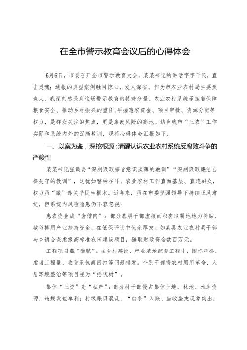 在全市警示教育会议后的心得体会 .docx