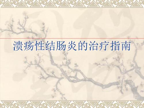 溃疡性结肠炎诊治指南课件.ppt
