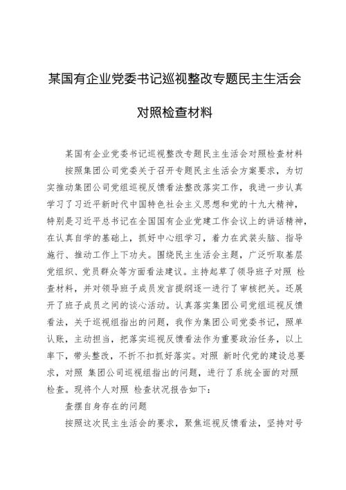某国有企业党委书记巡视整改专题民主生活会对照检查材料.doc