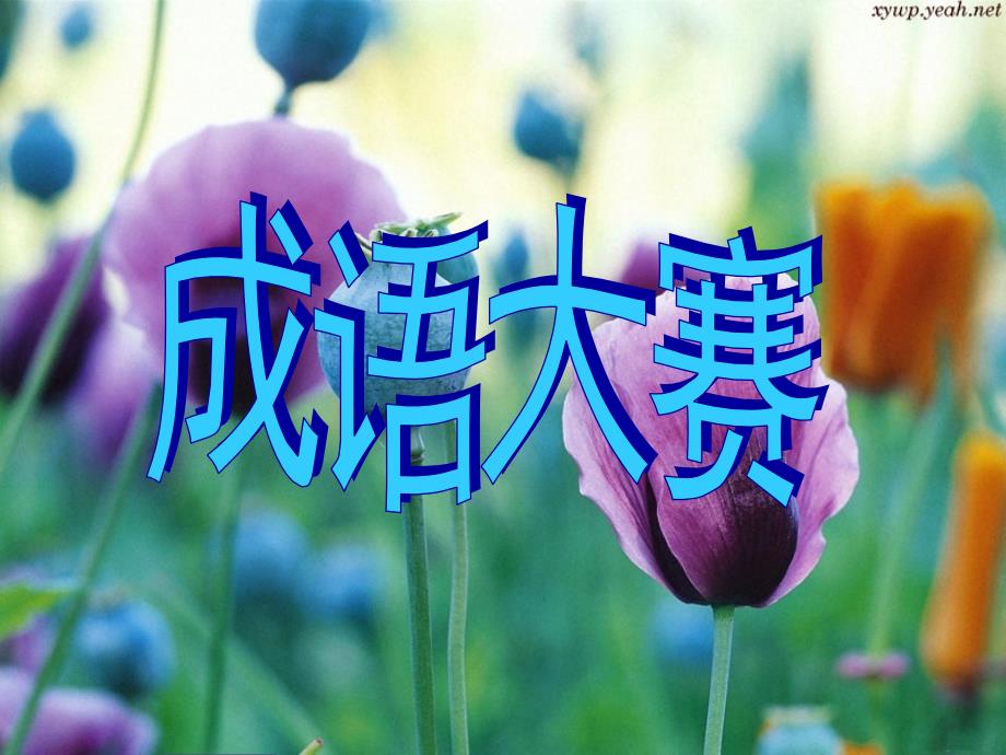 成语大赛PPT精.ppt_第1页