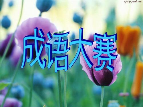 成语大赛PPT精.ppt