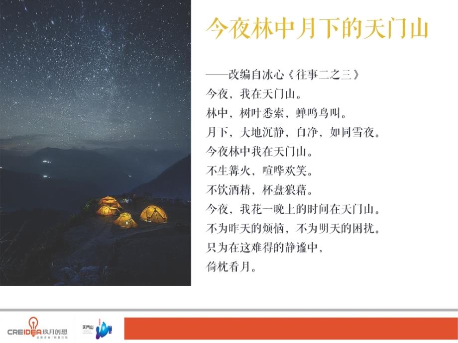 某露营基地项目建议策划方案PPT共45张.ppt_第2页