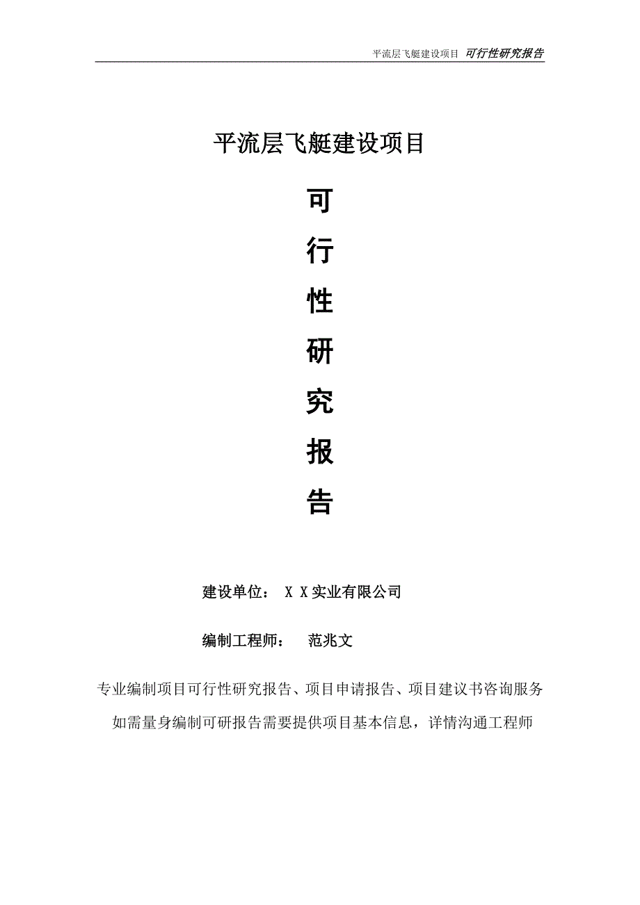 平流层飞艇项目可行性研究报告完整可修改版.doc_第1页