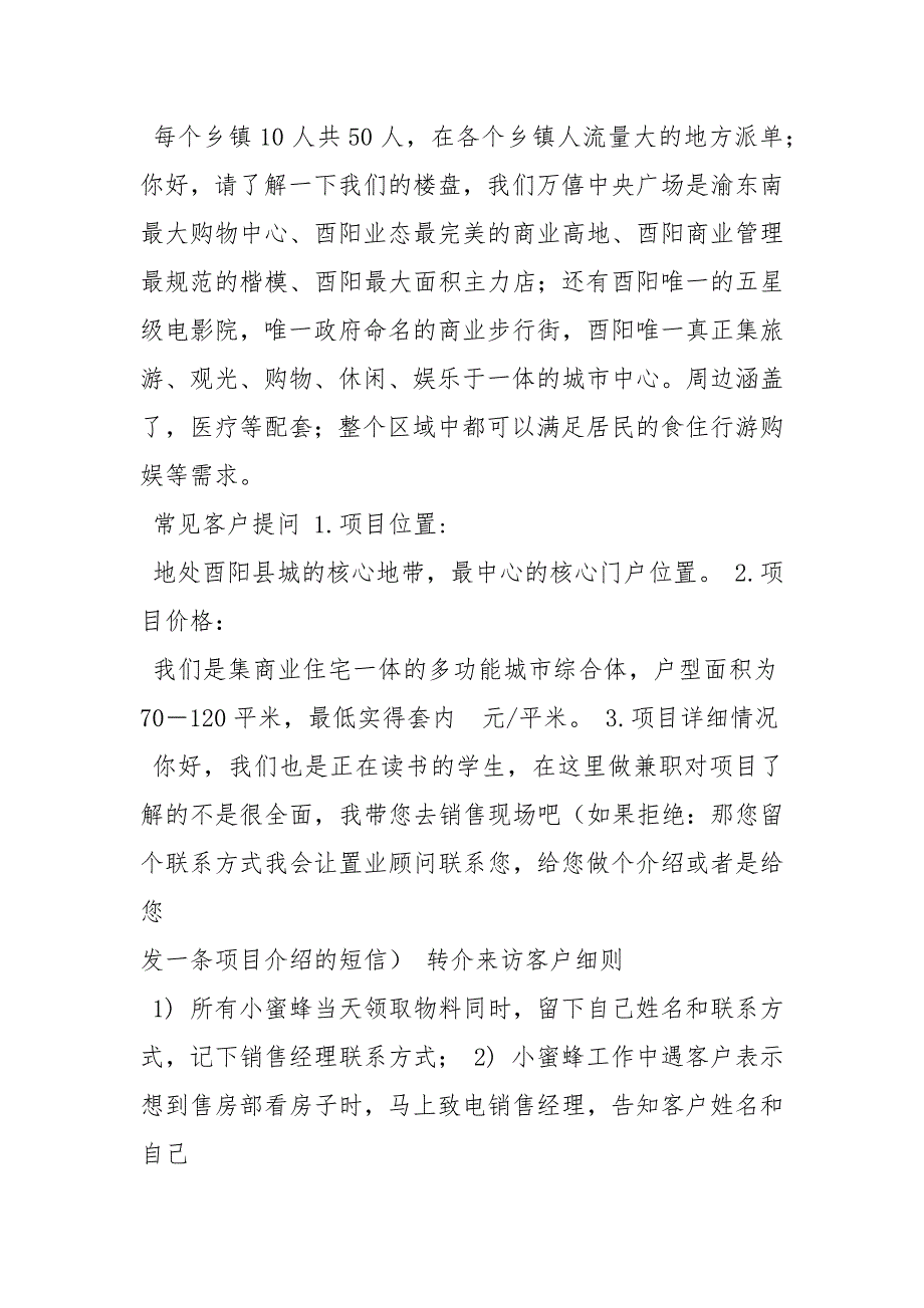 小蜜蜂派单方案策划方案.docx_第2页