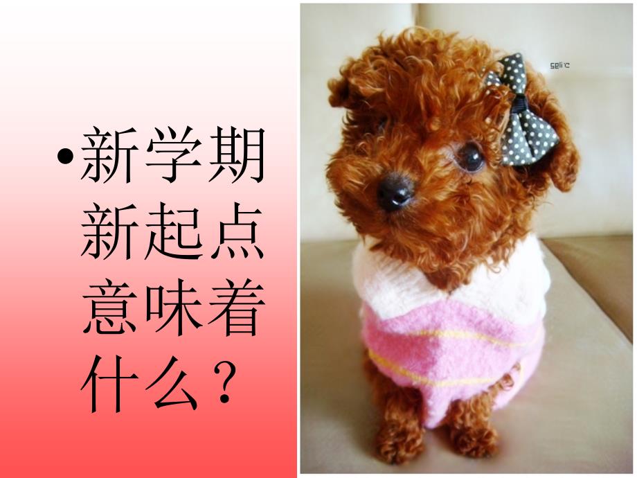 新学期新气象班会课件.ppt_第3页