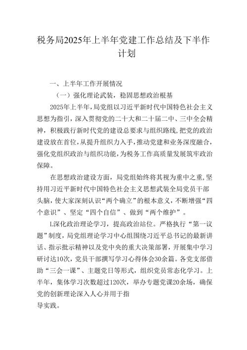 2025年税务局上半年党建工作总结及下半年工作计划.docx