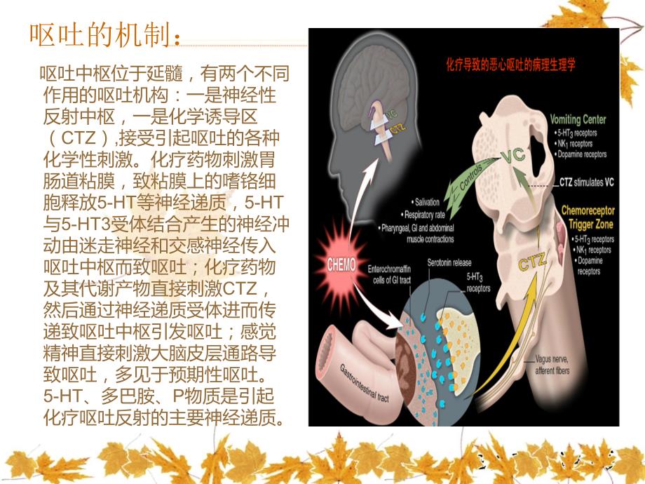 常用止吐药物.ppt_第3页