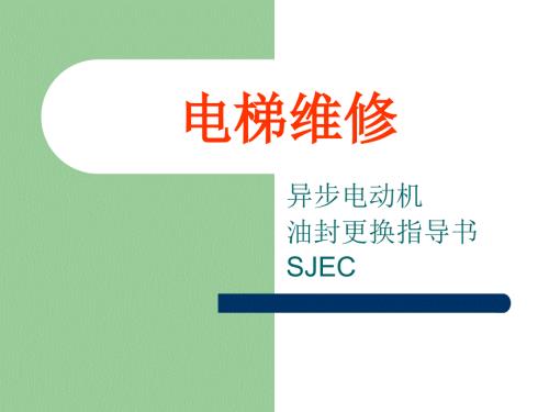 电梯维修曳引机油封更换指导书.ppt
