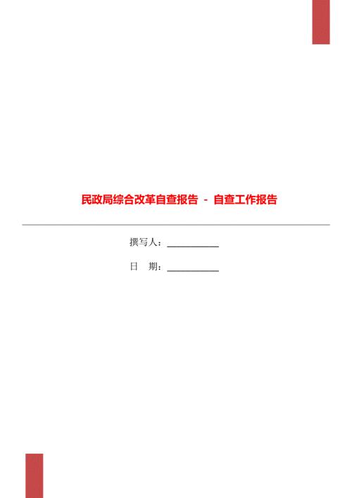 民政局综合改革自查报告自查工作报告.doc