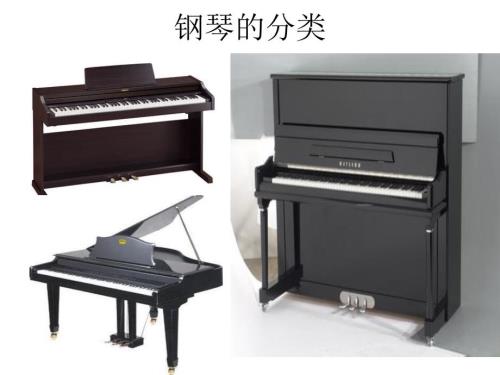 新生钢琴入门课件.ppt