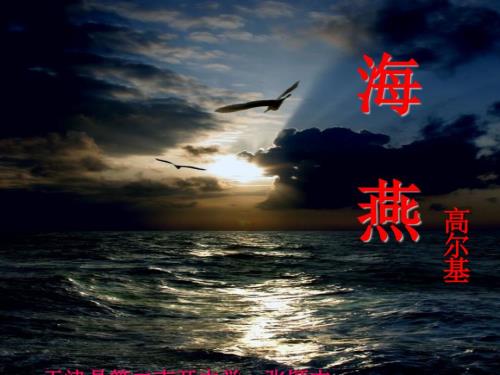 海燕优秀PPT课件.ppt