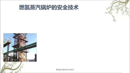 燃氢蒸汽锅炉的安全技术PPT课件.ppt