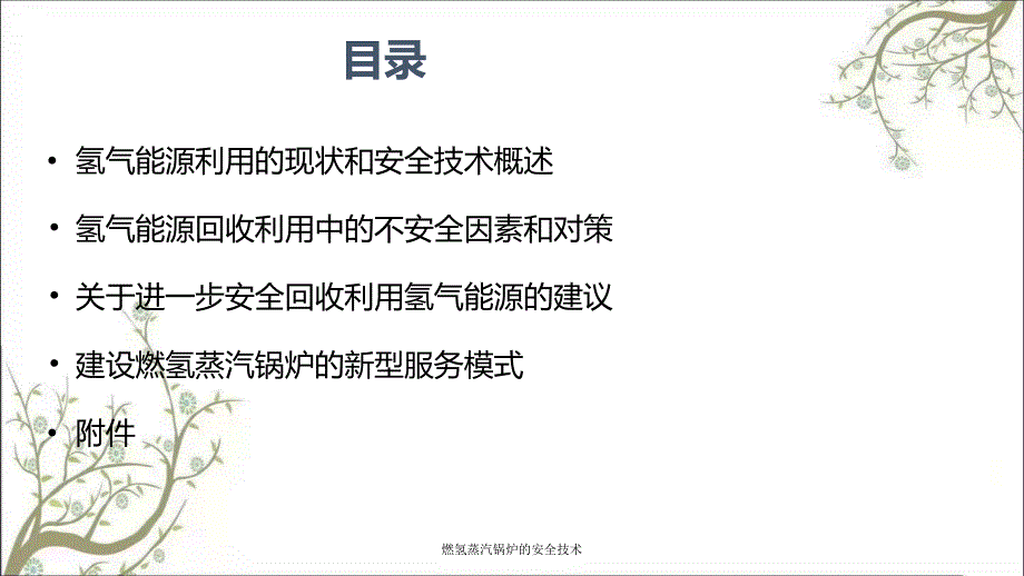 燃氢蒸汽锅炉的安全技术PPT课件.ppt_第2页