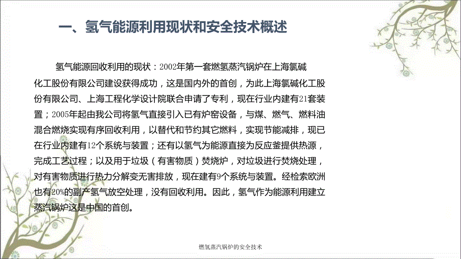 燃氢蒸汽锅炉的安全技术PPT课件.ppt_第3页