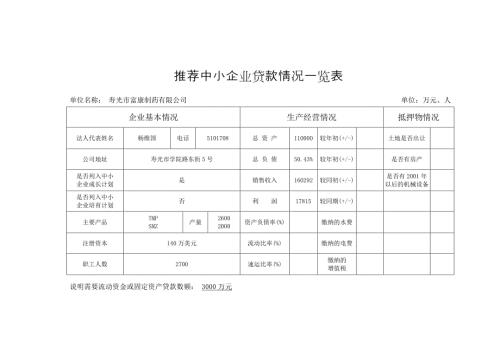 推荐中小企业贷款情况一览表.DOC