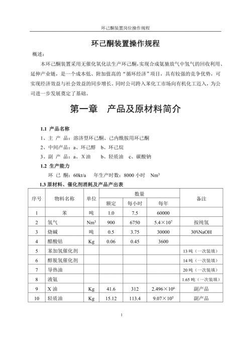 最新有机化工公司环己酮工艺操作规程.doc