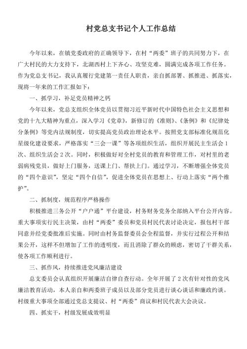 村党总支书记个人工作总结.docx